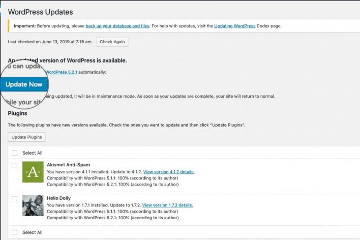 WordPress Update Now!